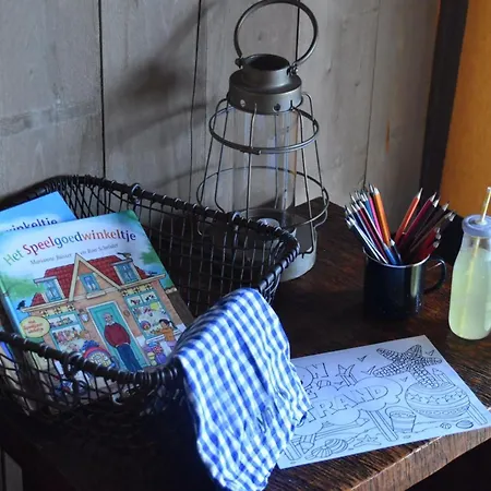 Lüks kamp alanı Kidz In Zon Zee With Play Area Callantsoog